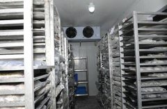 速冻冷库建造的三大细节