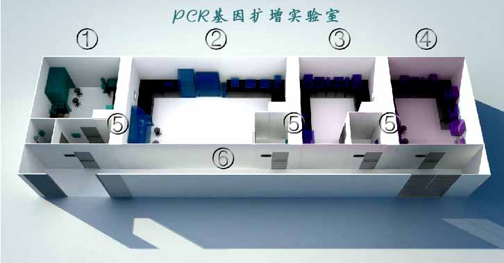 PCR基因扩增实验室